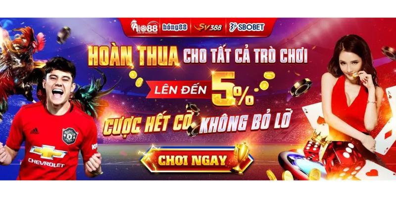 Hướng dẫn cách tham gia vào sảnh cá cược Thể thao alo88