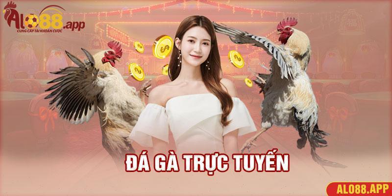 Đá gà trực tiếp alo88 luôn nhận được đánh giá cao