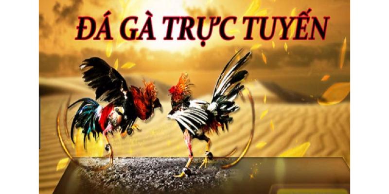 Những ưu điểm nổi bật tại nhà cái alo88