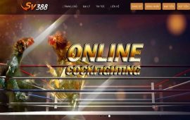Hướng dẫn cách chơi và cá cược đá gà SV388