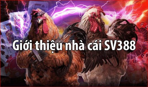 thong-tin-ve-nha-cai-sv388