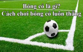 Kinh Nghiệm Chơi Bóng Cỏ Cực Hay Tại Alo88