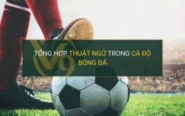Các Thuật Ngữ Cá Độ Bóng Đá Cho Người Mới