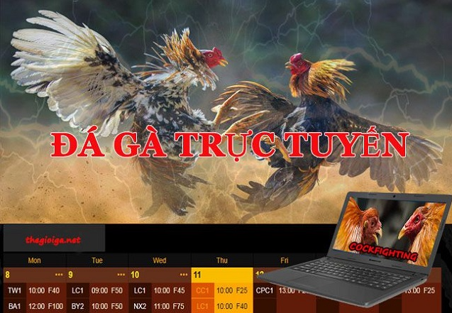 choi-ga-truc-tuyen