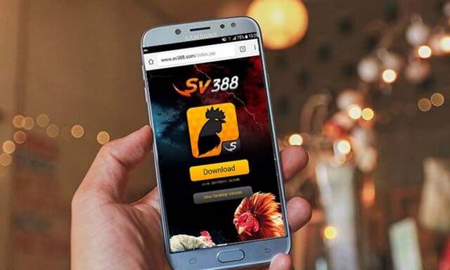 tai-app-sv388